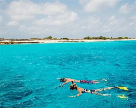 Bonaire National Marine Park (Kralendijk) - All You Need to Know BEFORE ...