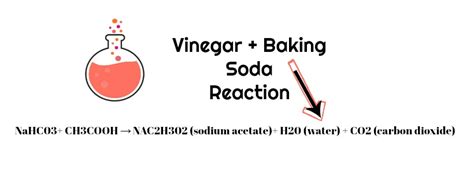 Chemical Makeup Of Baking Soda - Mugeek Vidalondon