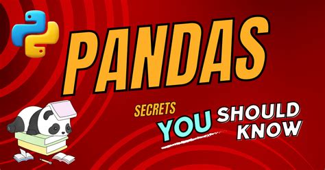 Mastering the Pandas Library: Your Path to Data Wrangling Excellence - Codanics