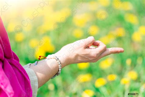 Hands in yoga positions - stock photo 598871 | Crushpixel