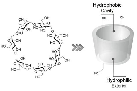 The molecular structure of β-Cyclodextrin. | Download Scientific Diagram