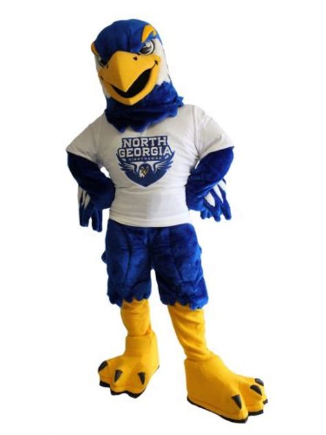 University of North Georgia Nighthawks Mascot Costume