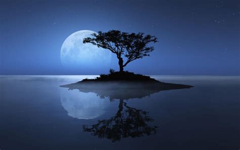 Moon and Tree Wallpapers - Top Free Moon and Tree Backgrounds ...