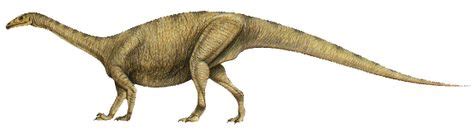 8 Riojasaurus ideas | dinosaur, prehistoric, animals