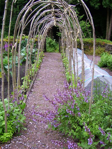 Hazel arch over path. Ideal for sweet-peas, runner beans or even small ...