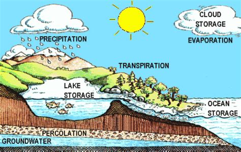 river formation diagram - Google Search | Geothermal energy, Energy facts, Gravitational ...