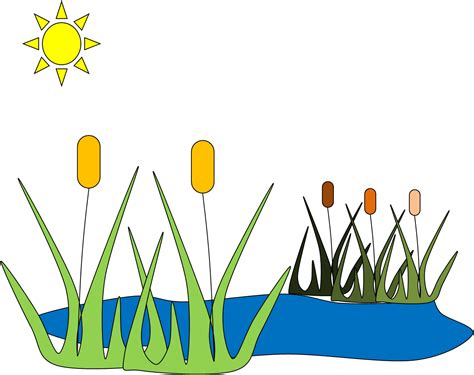 Free Pond Cliparts, Download Free Pond Cliparts png images, Free ClipArts on Clipart Library