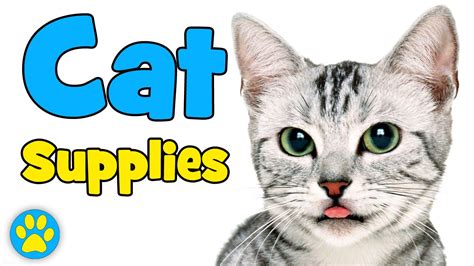 Cat Supply Shopping List - Humans For Cats