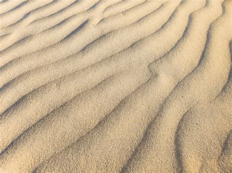 Tiny Sand Dunes Background Free Stock Photo - Public Domain Pictures