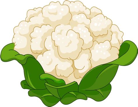 Cauliflower Cartoon Royalty-free Clip Art - Cauliflower Cartoon ...