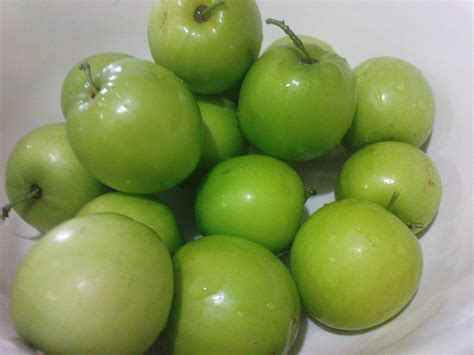 Jujube Tree | HubPages