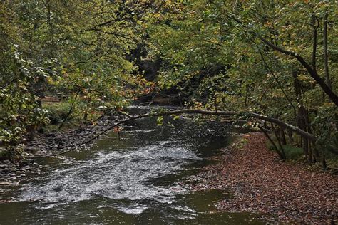 Clearfork-Mohican River 1 Photograph by Flo McKinley