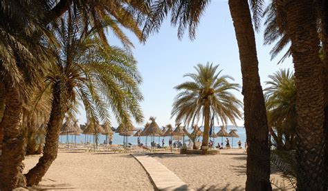 Vai Beach and Palm Forest In Crete - Cretico Blog