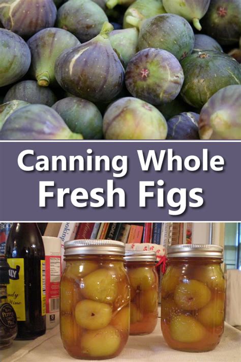 Canning Fresh Whole Figs