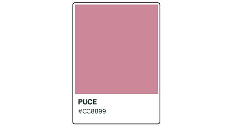 What Makes the Puce Color So Elegant and Captivating | HipFonts