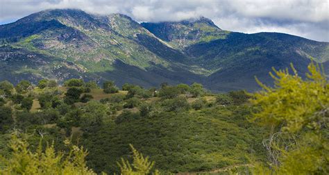 Cuyamaca Peak Hiking Trail Guide - The Simple Hiker