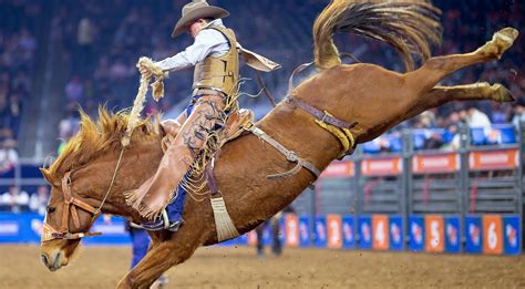 Houston Rodeo Still Happening, Despite Pandemic