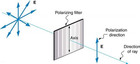 Polarization | Physics