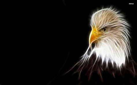 Dark Eagle Wallpapers - Top Free Dark Eagle Backgrounds - WallpaperAccess