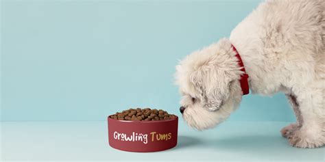 Low Protein Dog Food - Low Protein Food for Dogs in the UK