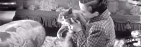 Little Lord Fauntleroy (1936) - Cinema Cats