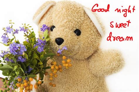 Good Night Teddy Bear With Flowers