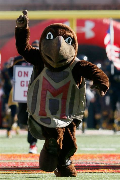 Mascot Monday: University of Maryland Terrapins | Surviving College Beetlejuice Couple Costume ...