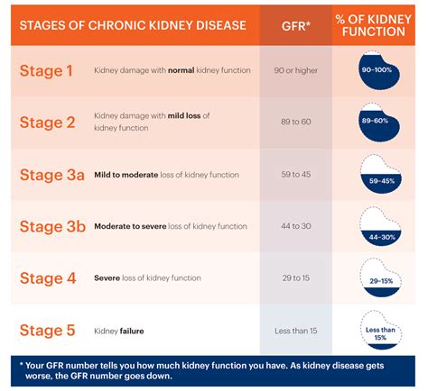 Estimated Glomerular Filtration Rate (eGFR) | National Kidney Foundation