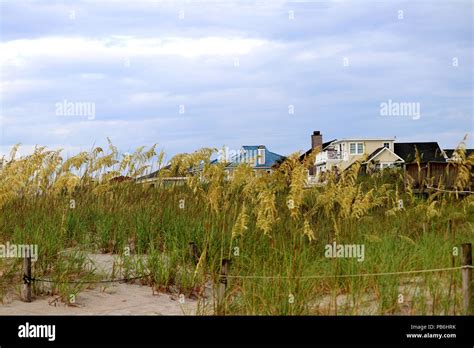 Houses on a beach in North Carolina Stock Photo - Alamy