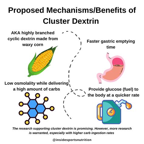 Proposed mechanisms and benefits of cluster dextrin – INSIDE SPORTS NUTRITION