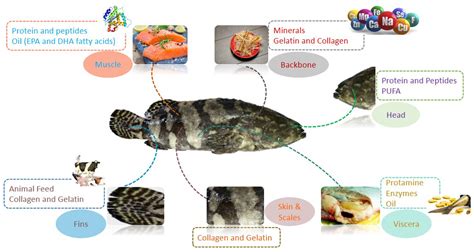 Nutritional Value of Fish | Encyclopedia MDPI