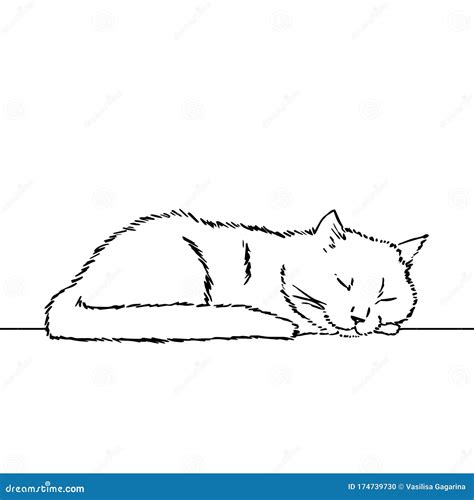 Cat Laying On Head Drawing A cat might also lay its tail on something ...