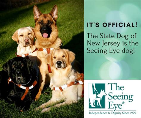 The Seeing Eye Dog becomes state dog of New Jersey - Vision Loss ...