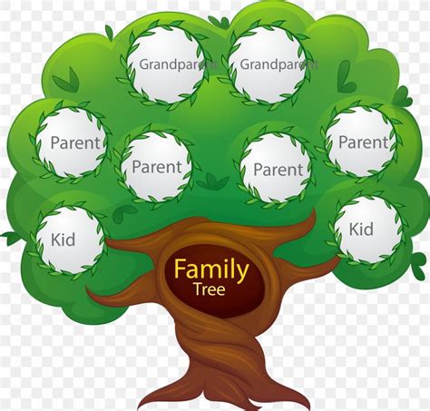 Family Tree Euclidean Vector Generation, PNG, 2127x2036px, Family Tree ...