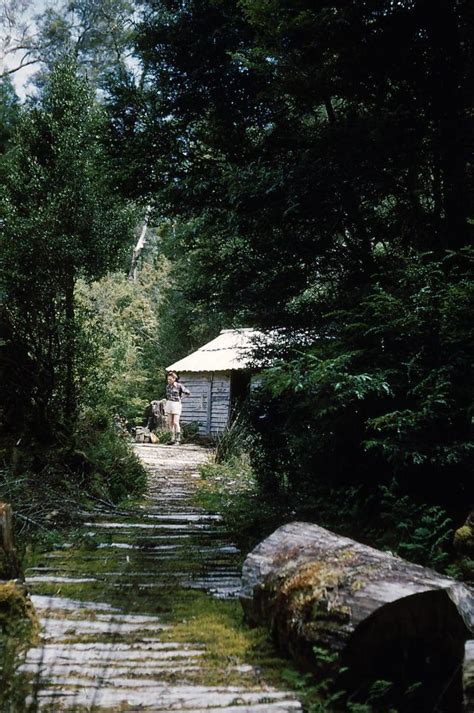 Wonderful Life of Australia in the Early 1950s Through a Bushwalker's Lens ~ Vintage Everyday