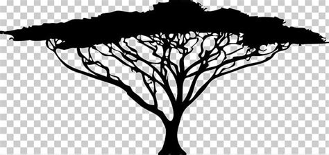 African Trees Silhouette Drawing PNG - Free Download | African tree ...