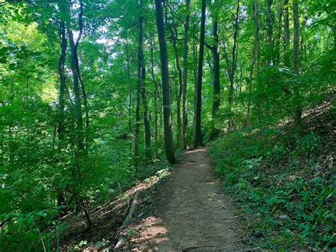 4 Scenic Hiking Trails in Nashville for Your Next Outdoor Adventure