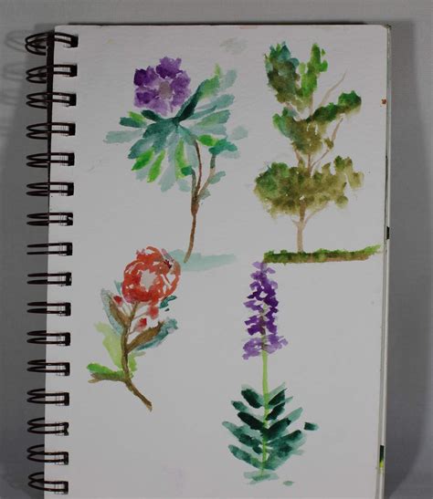 An Artists Journey: Watercolor Sketching; Sketching Flowers