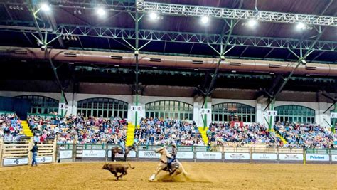 Complete First Timers Guide To The Fort Worth Rodeo Texas | Afternoon ...