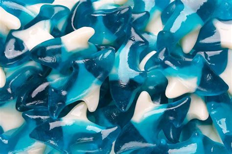 Amazon.com : Gummy Sharks, Shark Candy-Blue Shark Gummies Candy-Blue Gummy Fish, Shark Gummy ...