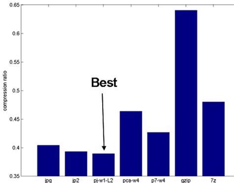 High Performance Lossy and Lossless Data Compression Consulting