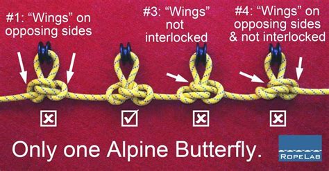 Alpine-Butterfly-errors | Rope knots, Survival knots, Knots guide