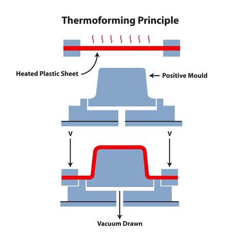 Thermoforming | Plastic Extruder | High Impact Polystyrene