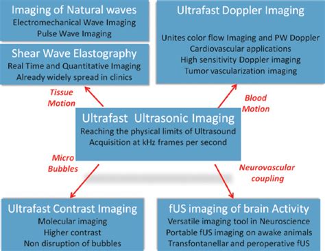 Some emerging and future applications of ultrafast ultrasound imaging ...