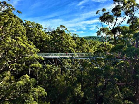 Walpole-Nornalup National Park - Atemberaubender Tree Top Walk!