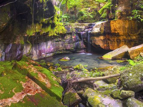 Moss Garden walk | Carnarvon Gorge, Carnarvon National Park | Parks and forests | Department of ...