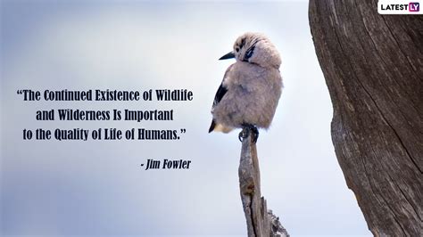 World Wildlife Day 2022 Quotes & HD Pictures: Save Wildlife Messages, Wallpapers and Sayings for ...