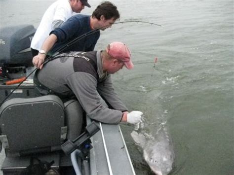 Sturgeon fishing on the Columbia River