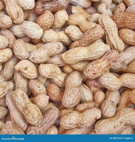 Roasted Peanuts in Shell Closeup Stock Photo - Image of pile, flavor ...