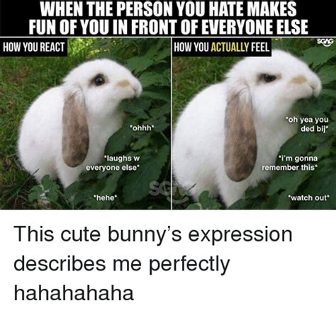 18+ Cute Rabbit Memes - Factory Memes